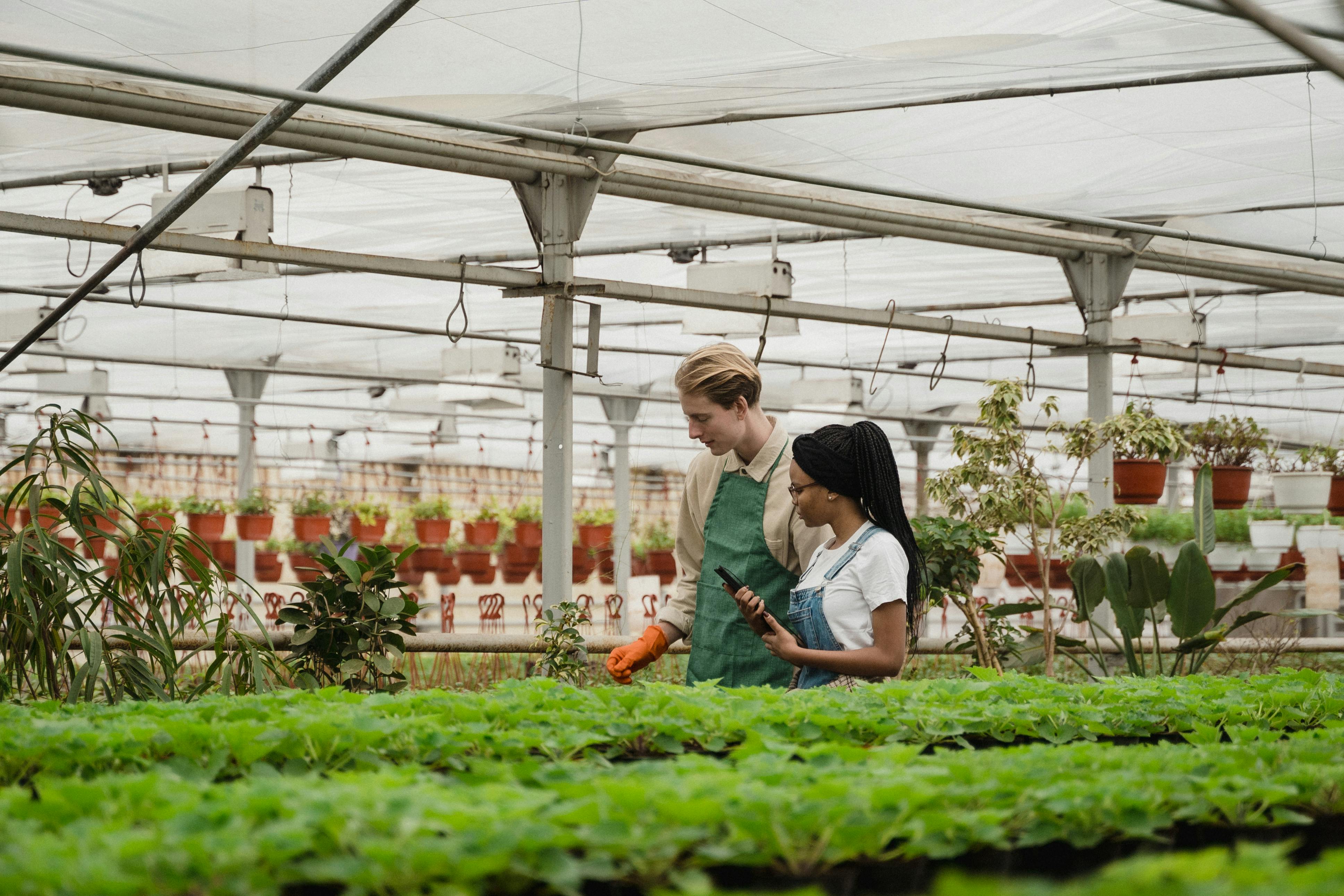 Curso de Agronegócio