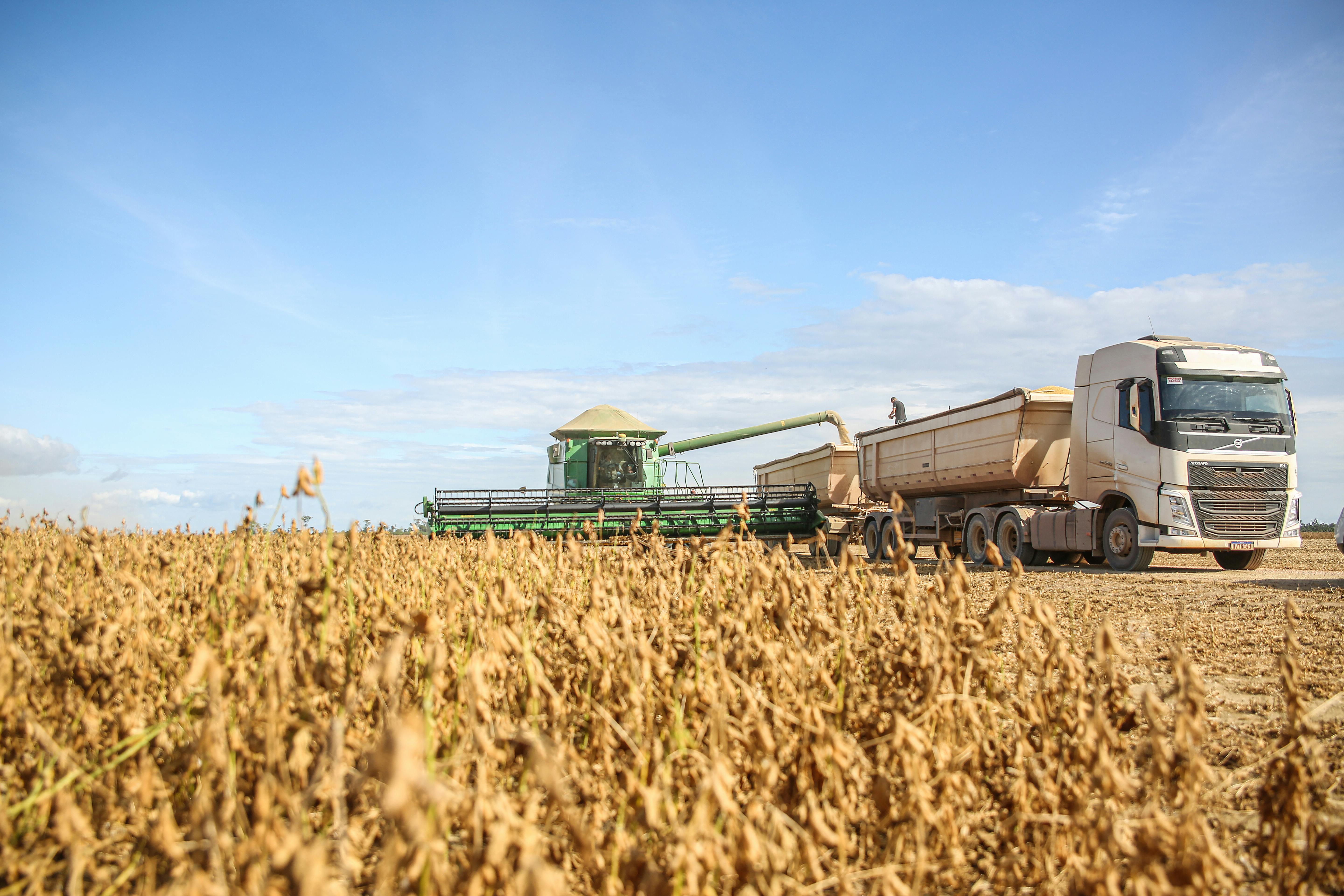 Curso de Agronegócio